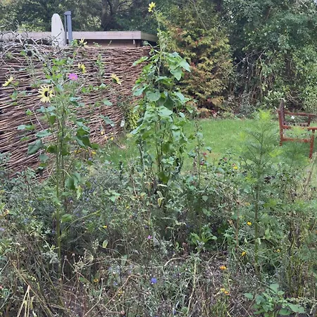 De Boem * Westermient