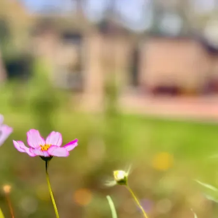 De Boem Дом отдыха