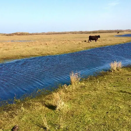 De Boem * Westermient