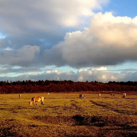 De Boem Дом отдыха *