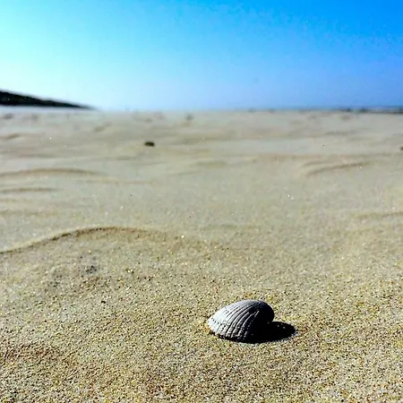 Дом отдыха De Boem *