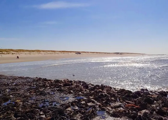 De Boem * Westermient