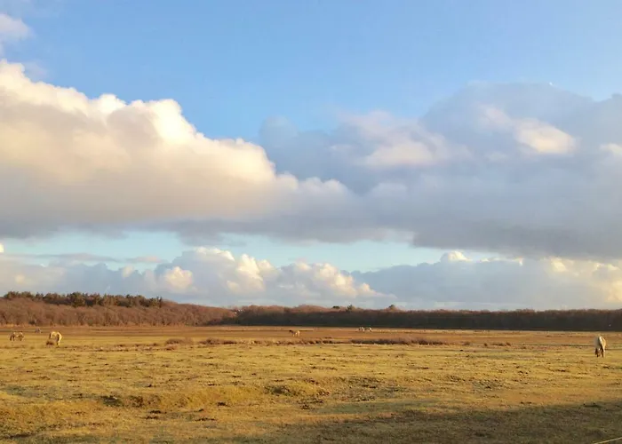 De Boem Casa de Férias *