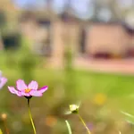 De Boem Сasa de vacaciones