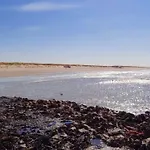 De Boem * Westermient