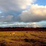 De Boem Сasa de vacaciones *