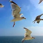 De Boem Сasa de vacaciones